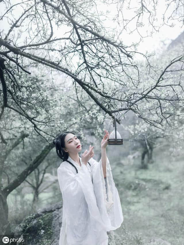 不惟清空，又且骚雅，读之使人神观飞越 ——近师白石《姜夔》