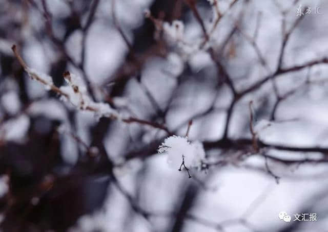 醒来，10-14℃！今日小雪，这10首经典诗词陪你静候初雪