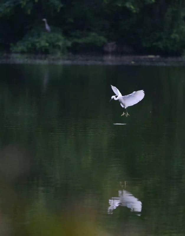 成都豪宅编年史：从浣花溪到锦城湖，走了快二十年