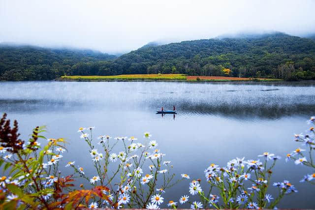 庄生晓梦迷蝴蝶、我爱蝴蝶，一生一世