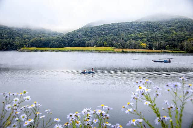 庄生晓梦迷蝴蝶、我爱蝴蝶，一生一世