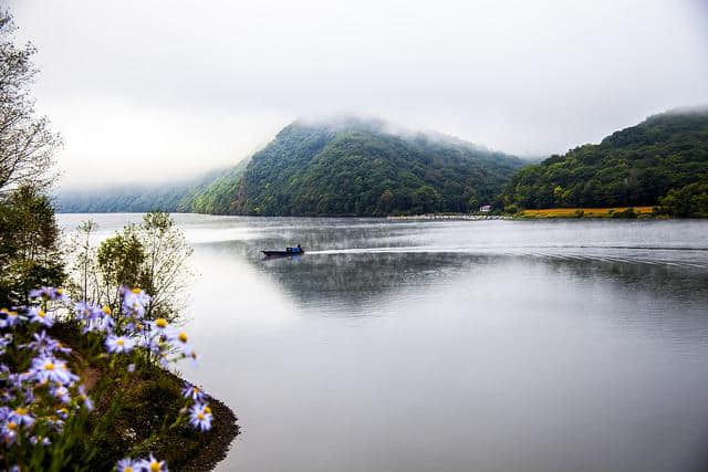 庄生晓梦迷蝴蝶、我爱蝴蝶，一生一世