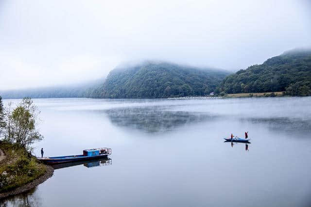 庄生晓梦迷蝴蝶、我爱蝴蝶，一生一世