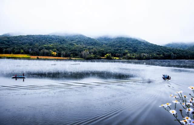 庄生晓梦迷蝴蝶、我爱蝴蝶，一生一世