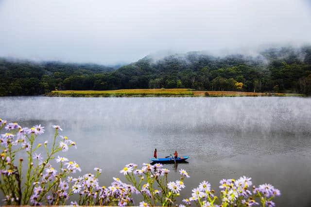 庄生晓梦迷蝴蝶、我爱蝴蝶，一生一世