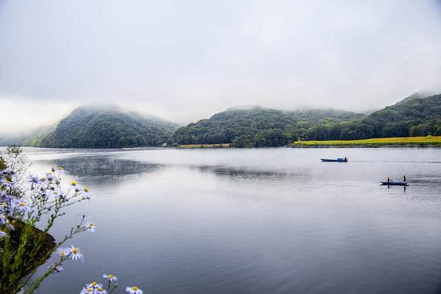 庄生晓梦迷蝴蝶、我爱蝴蝶，一生一世