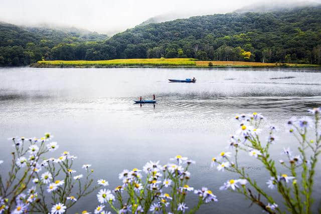 庄生晓梦迷蝴蝶、我爱蝴蝶，一生一世