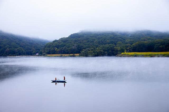 庄生晓梦迷蝴蝶、我爱蝴蝶，一生一世