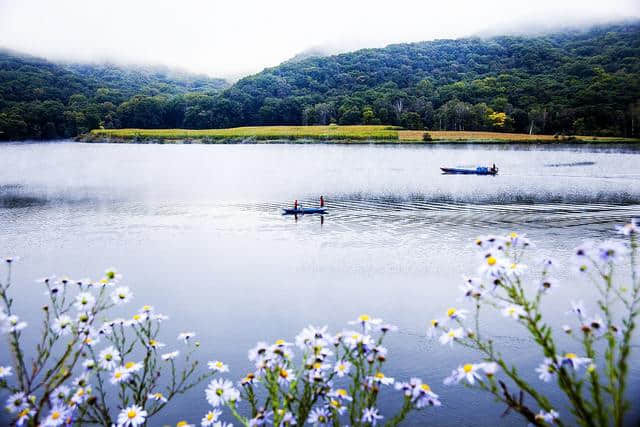 庄生晓梦迷蝴蝶、我爱蝴蝶，一生一世