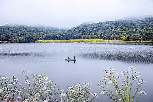 庄生晓梦迷蝴蝶、我爱蝴蝶，一生一世