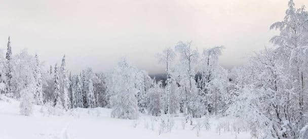 大雪节气到了，知名度很高的二十句经典大雪诗词