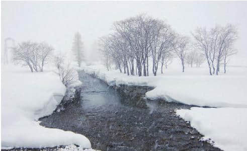 大雪节气到了，知名度很高的二十句经典大雪诗词