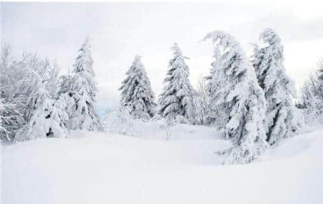 大雪节气到了，知名度很高的二十句经典大雪诗词