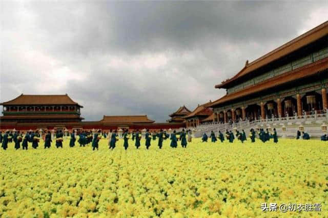 满城尽带黄金甲，解读黄巢菊花诗以及黄巢留世的三首诗