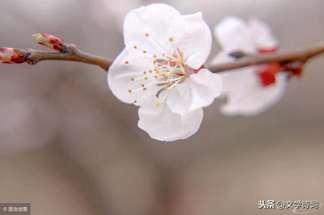 十首《浣溪沙》玉碗冰寒滴露华，粉融香雪透轻纱 晚来妆面胜荷花