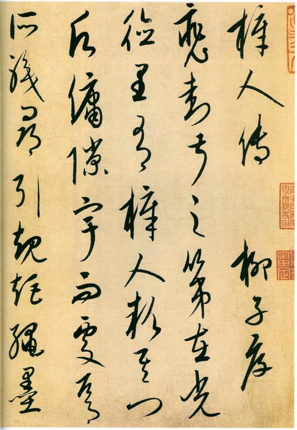 康里子山名字考——其名字是“巙巙”还是“巎巎”？