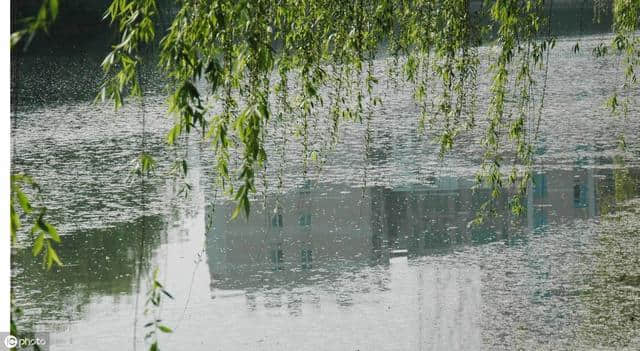 杨花榆荚无才思，惟解漫天作雪飞