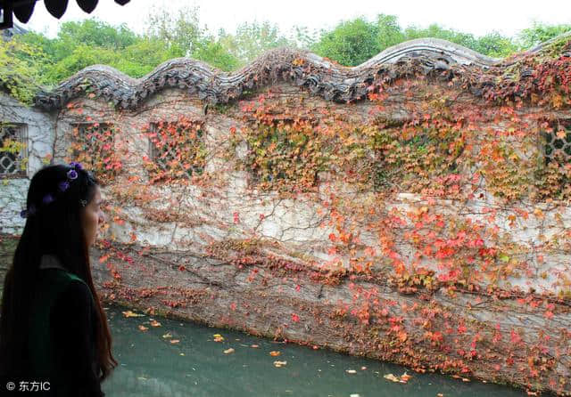 题破山寺后禅院