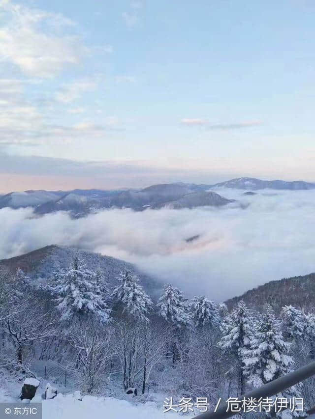 “雨洗娟娟净，风吹细细香”313首最有名的“风”，触动心中涟漪