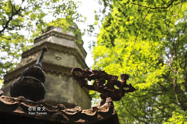 崂山现存唯一佛寺华严寺，三面环山东邻大海，是身心宁静的好地方