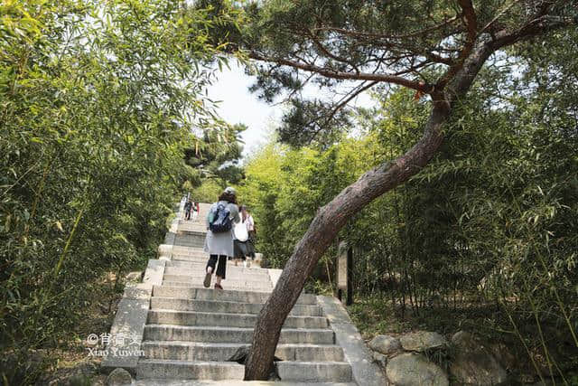 崂山现存唯一佛寺华严寺，三面环山东邻大海，是身心宁静的好地方