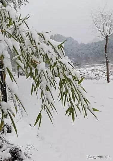 借问雪花何处落？风吹一夜华阳山！