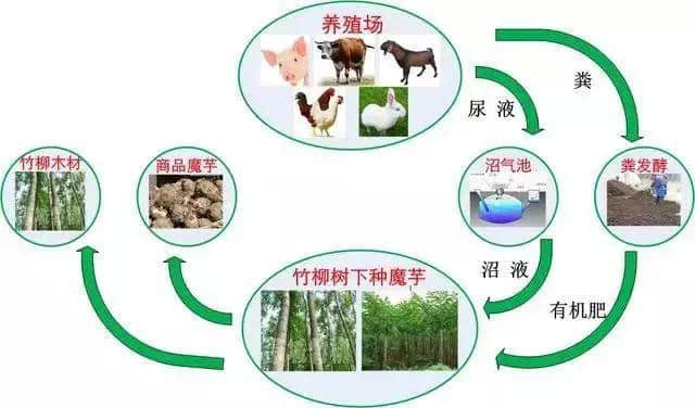 解读｜国务院发布“乡村振兴战略规划”!梳理出了18个创业方向