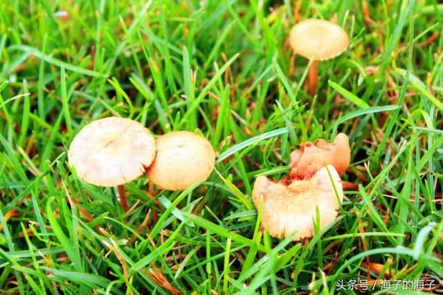 《袅袅秋风动，凄凄烟雨繁》秋韵《竟生》