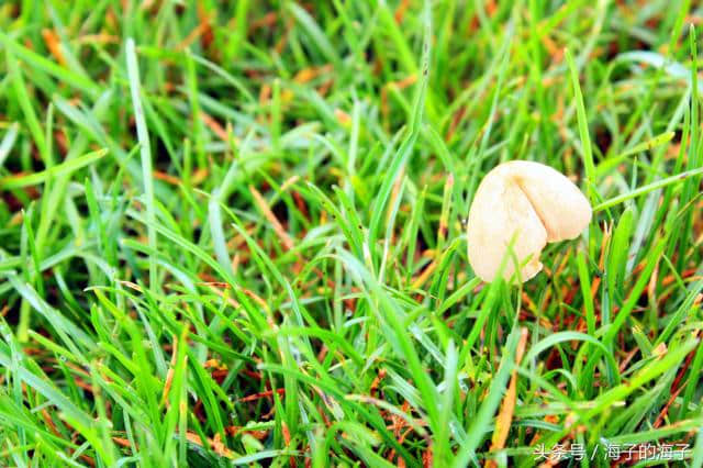 《袅袅秋风动，凄凄烟雨繁》秋韵《竟生》