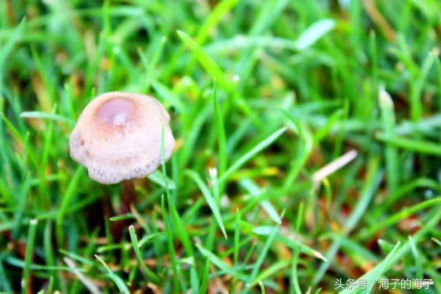 《袅袅秋风动，凄凄烟雨繁》秋韵《竟生》