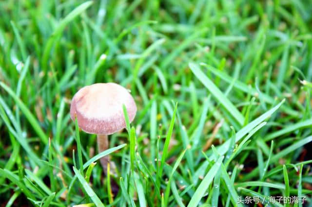 《袅袅秋风动，凄凄烟雨繁》秋韵《竟生》