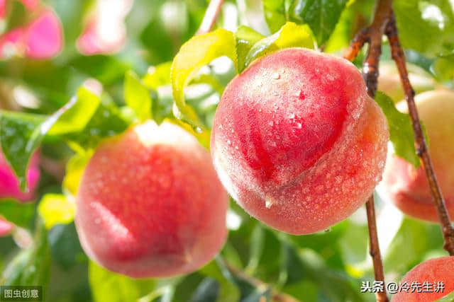 夸父逐日、羿射十日、嫦娥奔月、吴刚伐桂