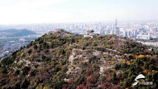 飞阅齐鲁 瞰万山红遍｜邀你来做画中人 千佛山秋色美如画