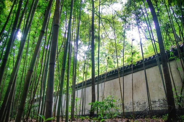 九首《客至》诗：花径不曾缘客扫，蓬门今始为君开