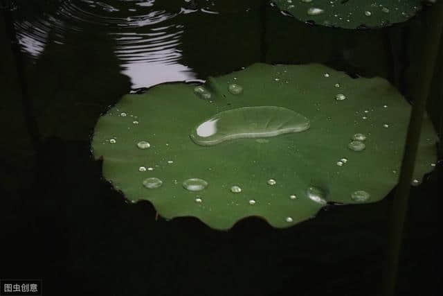 “留得枯荷听雨声”：李义山的这8首诗，没有晦涩、意境绝美