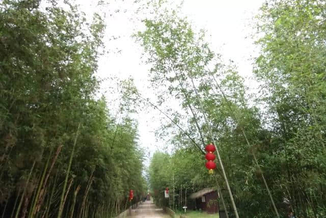 齐天大圣祖地——福建顺昌旅游探秘