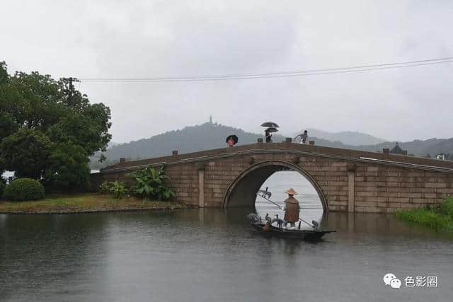 又见梅子黄时雨