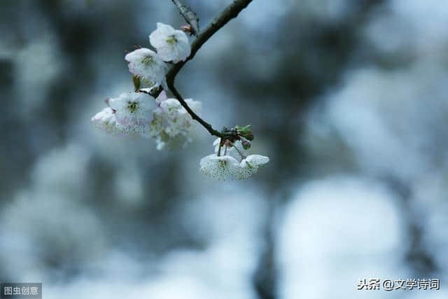 八首《画堂春》，杏园憔悴杜鹃啼，无奈春归