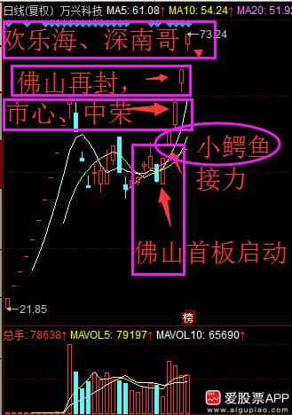 终极心法之庖丁解牛（龙头战法）