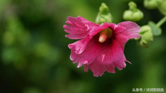 《淮南子》经典十段锦句，道家精妙而又绝顶的人生智慧