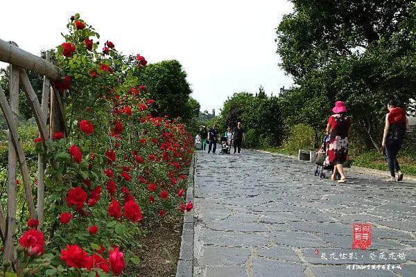 蓬莱阁，一曲山海相和的醉美乐章~