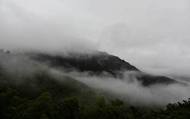 实拍：浓雾缭绕，南尖岩偶尔露峥嵘