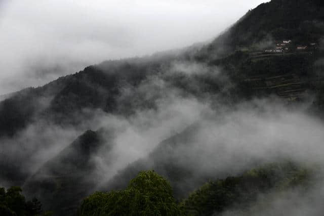 实拍：浓雾缭绕，南尖岩偶尔露峥嵘