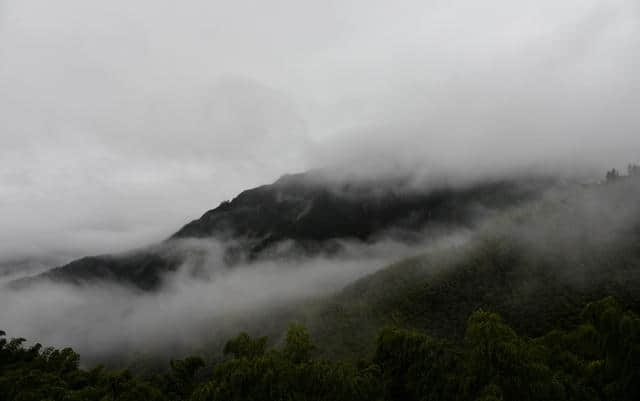 实拍：浓雾缭绕，南尖岩偶尔露峥嵘