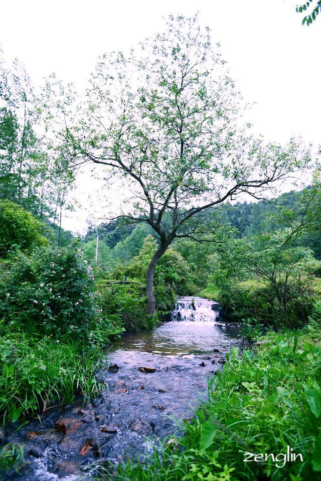 你带上我，我带上相机：盘古山原始森林游