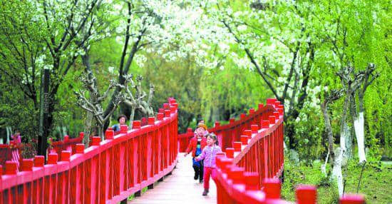 花重锦官城 锦城亦重花