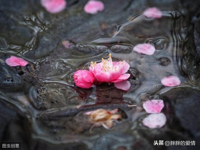 花自飘零水自流……