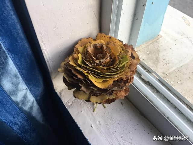 上联：花开花落自有时 请赐下联