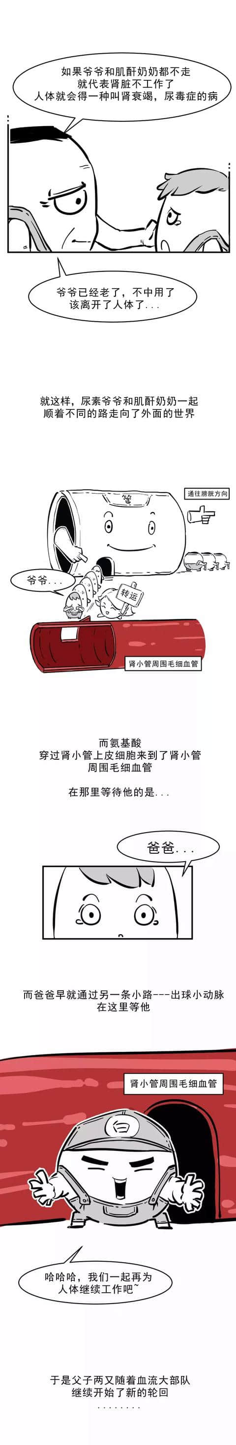 好好的肾，怎么就漏蛋白了呢？