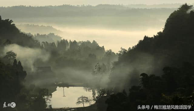 风雅颂诗词丨鹧鸪天丨新来一瘦红蕖落丨只住烟花蝴蝶丛